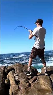 You won’t BELIEVE this fishing spot in Cape Town… Yellowtail catch #outdoors #fishingadventure