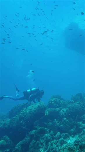 Today the crew of Big Lost went on a dive here in Bonaire! We are loving these clear waters!! 🤿🐠🐡. #boatlife #sailingbiglost #bonaire #scubadiving @conor