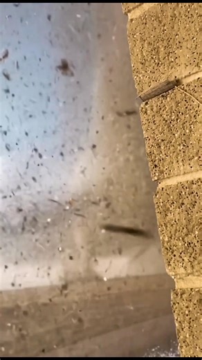 🚨 CONFIRMED TORNADO ILLINOIS 🚨 At 3:26 PM CST on December 28, 2025, a confirmed tornado was reported over Long Creek, or near Decatur, moving east at approximately 35 mph. This fast-moving tornado is associated with a powerful rotating supercell and poses an immediate danger to communities in its path. ⚠️ Life-threatening conditions Flying debris, destructive winds, and rapidly changing visibility are possible. Tornadoes moving at this speed leave little time to react. 🛑 Take action immediate