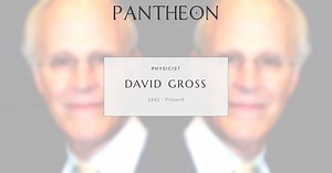 David Gross Biography | Pantheon
