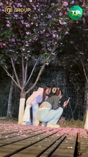 Helping you follow the trend | TB TREND #short