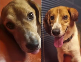 16K views · 2.8K reactions | **BREAKING** Please help us welcome our...