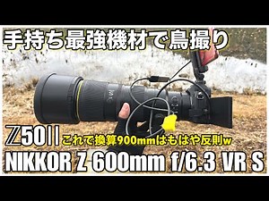 【野鳥撮影】フィールドを変えて反則級の換算900mmで1時間だけ鳥撮り！ - Z50Ⅱ × NIKKOR Z 600mm f/6.3 VR S -