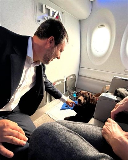 Cani di grossa taglia ora viaggiano in cabina: il primo volo con Ita Airways da Milano a Roma
