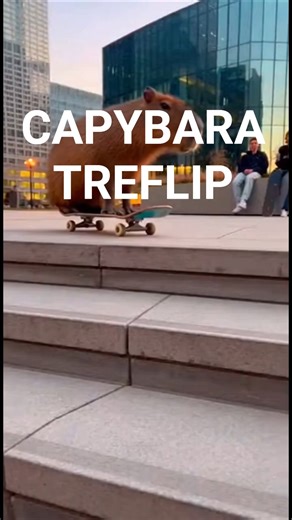 Capybara attempts a 360 Flip 🐹🛹
