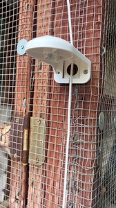 🐔📹 Keeping an eye on your flock has never been easier! No WiFi? No Power? No Problem! Forget about wiring cables! Check out our latest video showcasing #Reolink4ksolarcam Go PT Ultra in action! Credit: simply.chickens Discover more about our wireless 4K 4G solar battery camera: Official Website: https://reolink.club/GoPTUltra-FB5 Amazon Store: https://amzn.to/3QwUUeP | Reolink