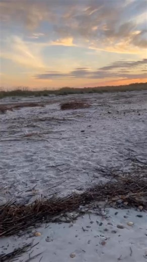 Fort Clinch state park on Fernandina beach .The wind was strong and the water was so chappy today i end up sunset viewing and bird watching #surffishing #fishing #birdwatching #birdwatchers #seagulls #beach #beaches #jetties #sand #sunnnyday #sun #positivevibes #fbreels #fyp #fypreels #trending #trendingreels #love #fun #share #sharethispost #fortclinchstateparkflorifa | Nanreh Bhogz