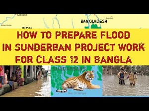 How to Prepare Flood in Sunderban Project Work for Class 12 in Bangla।সুন্দরবনের বন্যা প্রকল্প