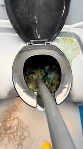 77K views · 683 reactions | Bathroom cleaning #portapotty Porta Potty Prince 1 @topfans | Porta Potty Prince 1 | Facebook