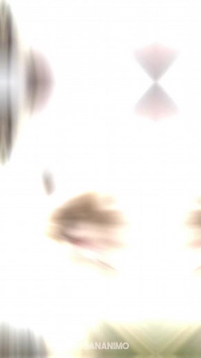 Discover Angora Rabbit 🐰 a very cute pet bunny breed 😍 | Lonny Olney