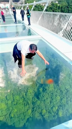 The Truth Behind Glass Bridge Fear