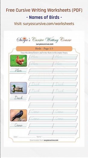 Names of Birds in Cursive Worksheets with Pictures | SuryasCursive.com