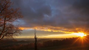 Do Aries and Taurus Make a PERFECT Match?