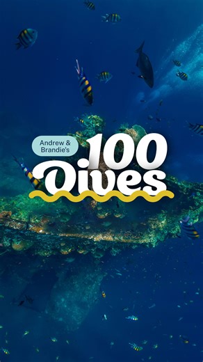 Wrapping up 2025, @divefocused is taking us back to Dives 8–10 in the Top 100 Dives of a Lifetime series. These 3 sites showcase just how varied world-class diving can be. Which is on your bucket list for 2026? ⚓ Tulamben, Bali — the USAT Liberty Wreck, a once-beached ship pushed back into the sea by volcanic activity and now one of the most accessible wreck dives in the world. 🌿 Catalina Island, Casino Point Dive Park — towering kelp forests paired with an easy walk-in entry at the country’s f
