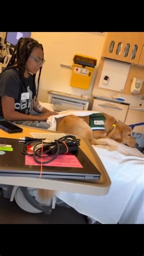 Colleen Miller on Reels