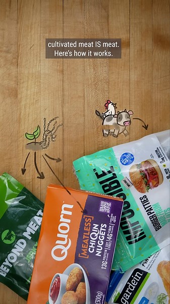 Why Japan's food is so good + how scientists are growing meat without killing animals