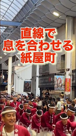 直線で息を合わせる紙屋町【令和7年岸和田だんじり祭】