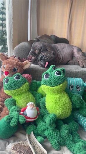 Perfect Moments with Teddy Friends