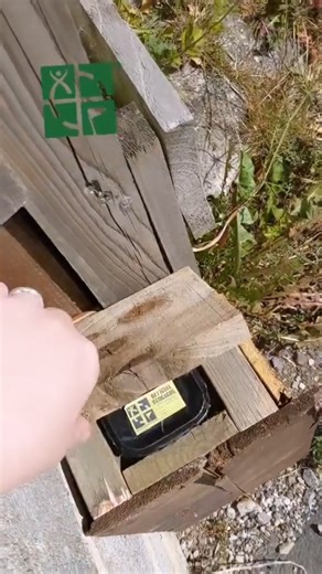 Hello, hello 👋 My, my, my, what have we here? 🤷 How many geocaches have you found in a day? Video by Snargaluff. #geocaching #geocache | Geocaching