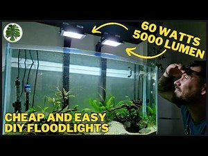 DIY Floodlight Build for Low-Tech Planted Aquariums: Affordable Aquascape Lighting — Worth It?