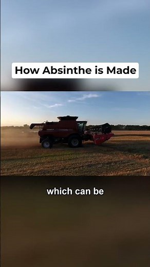 How Absinthe is Made