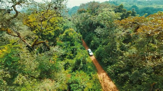 73K views · 2K reactions | Kaffa – a land of pristine nature and a world-renowned biosphere reserve! Visit Ethiopia and enjoy its endless beauty! Visitethiopia.et #VisitEthiopia #LandOfOrigins #Kaffa #KaffaBiosphereReserve #SouthwestEthiopia #Nature | Ethiopia Land of Origins | Facebook