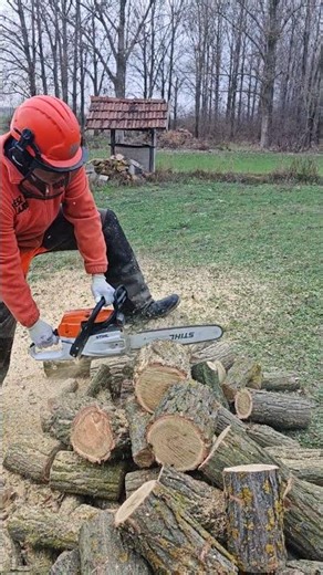 Stihl MS 261 CM wood cutting #chainsaw