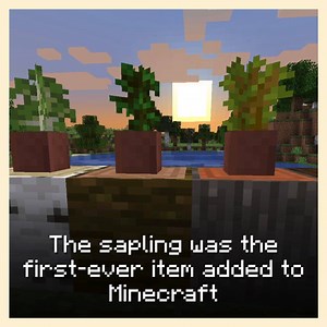 86K views · 2.5K reactions | The sapling may look small and helpless, but did you know it’s actually the oldest item in Minecraft? Learn all about this secretly ancient byproduct of your mindless tree-punching: ↣ redsto.ne/sapling ↢ | Minecraft | Facebook