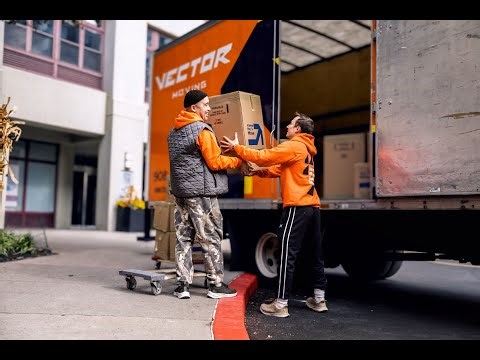 TOP 5 Moving Companies in New Jersey: Why Vector is Changing the Game!