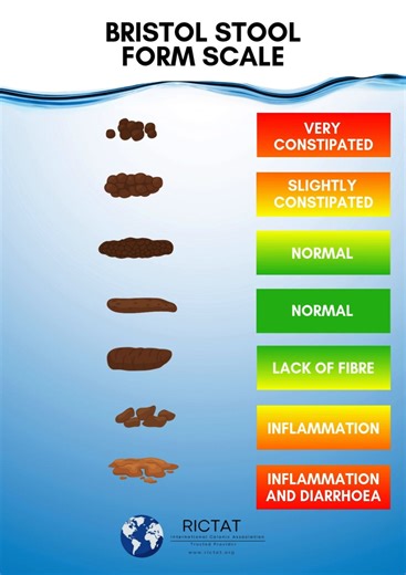 ✨ Let’s Talk Gut Health: The Bristol Stool Form Scale ✨ Your poop...