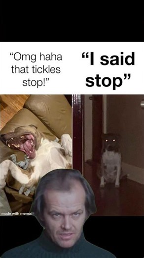 I Said STOP! 🛑 #funny #memes #shorts #shortsvideo