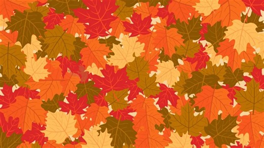 Everyone can see the leaves but you need 20/20 vision to spot the squirrel