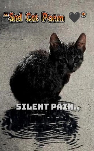 This poem will touch your Heart... Message to the world 🌍#viralvideo #cat #sad #poem #help