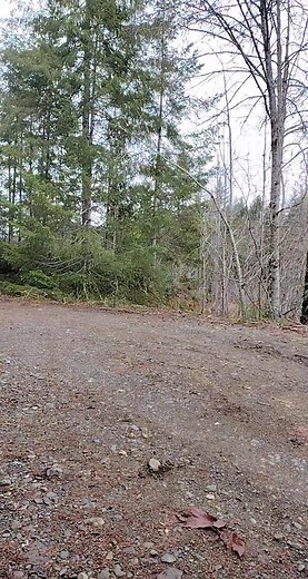 Gay Construction Worker TikTok Compilation