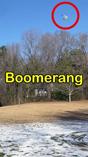 I learned how to throw a Boomerang! #fypシ #boomerang #tv #today #elfitup