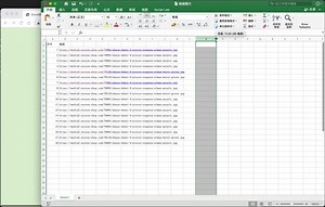 Excel链接url批量转图片 网页版