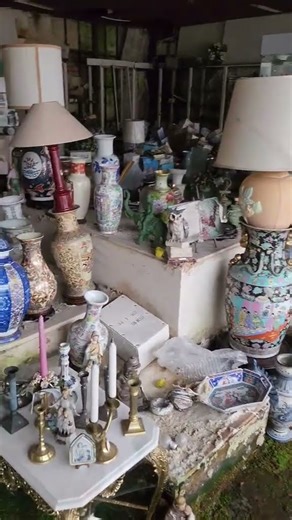 Abandoned Antique Store Overtaken by Nature – Urbex Discovery