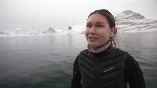 Trump backs down on Greenland tariffs, says deal framework reached