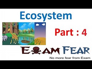 Components : Consumers - Ecosystem, Biology, Class 12 Video Lecture