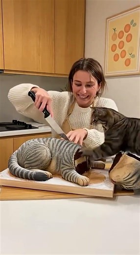 best cat prank #catshorts #catvideos #subscribe #cat #lifeisbutadream #funny