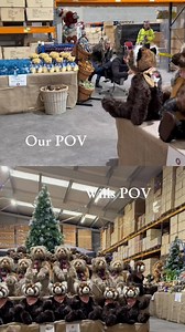 Charlie and Will have been helping us to think of ways to share our in store sale event with you all 🧸🐾 | Charlie Bears
