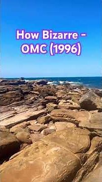 Palm Beach Rock Extravaganza - How Bizarre!