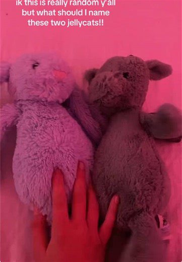 lucys_worldz on TikTok