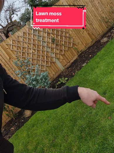 Effective Lawn Moss Treatment for Greener Grass