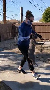 1M views · 10K reactions | This year your donations have helped Cats...