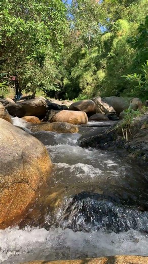 4 Minutes to Better Sleep Melatonin Flute 💤