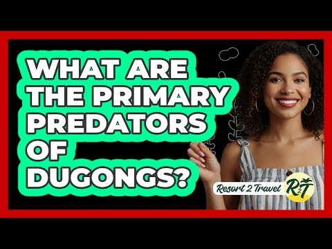 What Are The Primary Predators Of Dugongs?