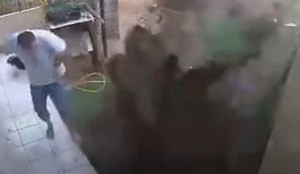 Man Wearing Jorts Accidentally Blows Up His Entire Yard Trying To Get Rid Of Pests | Whiskey Riff