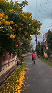 19K views · 570 reactions | I remove myself from others lives without a word, without any quarrel. | মহান—বৃহস্পতিবার | Facebook