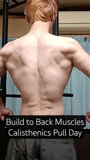 Build Back Muscles | Calisthenics Pull Day #nogymnoproblem